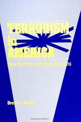 Brent L. Smith - Terrorism in America, Inbunden