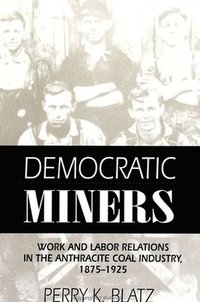 bokomslag Democratic Miners : Work and Labor Relations in the Anthracite Coal Industry, 1875-1925