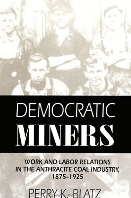 bokomslag Democratic Miners : Work and Labor Relations in the Anthracite Coal Industry, 1875-1925