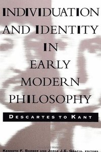 bokomslag Individuation and Identity in Early Modern Philosophy