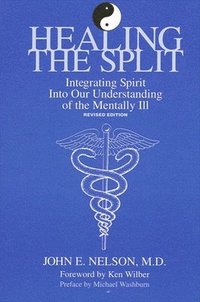 bokomslag Healing the Split
