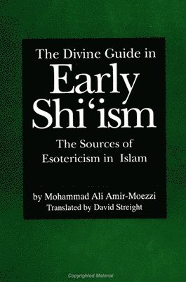 bokomslag Divine Guide in Early Shi'ism