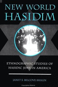 bokomslag New World Hasidim