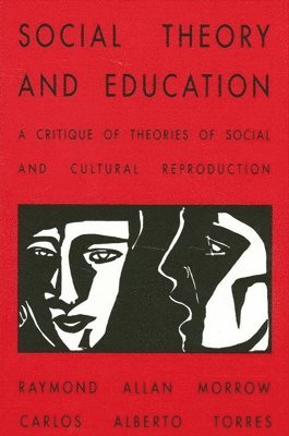 bokomslag Social Theory and Education