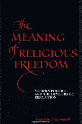 bokomslag The Meaning of Religious Freedom: Modern Politics and the Democratic Resolution