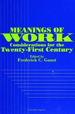 bokomslag Meanings of Work