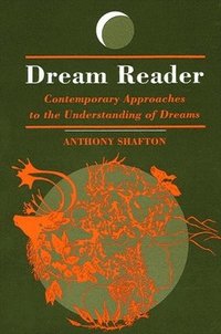 bokomslag Dream Reader