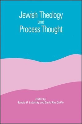 Sandra B. Lubarsky, David Ray Griffin - Jewish Theology and Process Thought, Häftad