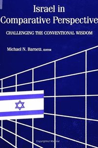 bokomslag Israel in Comparative Perspective