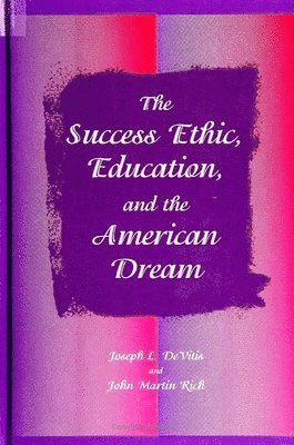 Joseph L. DeVitis, John Martin Rich - Success Ethic, Education, and the American Dream, Häftad