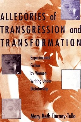 Mary Beth Tierney-Tello - Allegories of Transgression and Transformation, Häftad