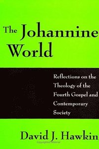 bokomslag Johannine World