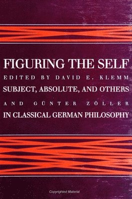 bokomslag Figuring the Self