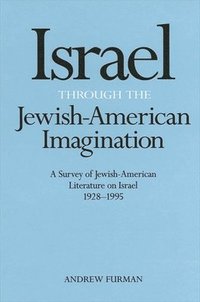 bokomslag Israel Through the Jewish-American Imagination
