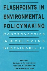 bokomslag Flashpoints in Environmental Policymaking