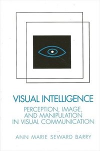 bokomslag Visual Intelligence