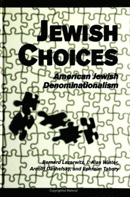 Bernard Lazerwitz, J. Alan Winter, Arnold Dashefsky, Ephraim Tabory - Jewish Choices, Häftad