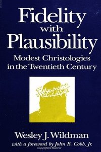 bokomslag Fidelity with Plausibility : Modest Christologies in the Twentieth Century