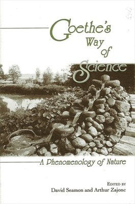 David Seamon, Arthur Zajonc - Goethe's Way of Science, Häftad