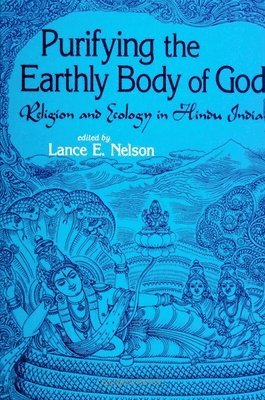 bokomslag Purifying the Earthly Body of God