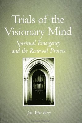 bokomslag Trials of the Visionary Mind