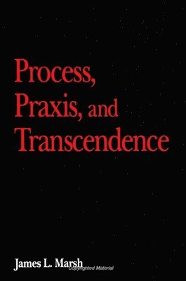James L. Marsh - Process, Praxis, and Transcendence, Häftad