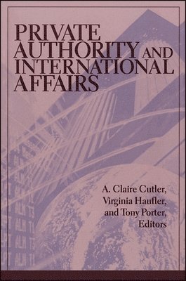A. Claire Cutler, Virginia Haufler, Tony Porter - Private Authority and International Affairs, Inbunden