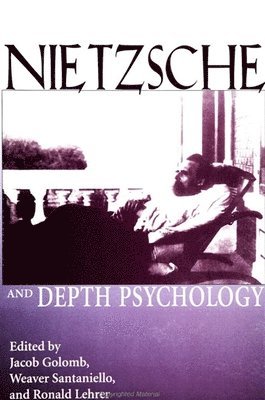 Jacob Golomb, Weaver Santaniello, Ronald Lehrer - Nietzsche and Depth Psychology, Häftad