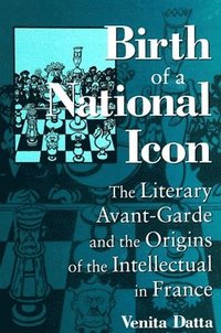 bokomslag Birth of a National Icon: The Literary Avant-Garde and the Origins of the Intellectual in France