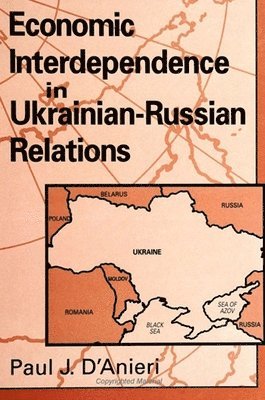 Paul J. D'Anieri - Economic Interdependence in Ukrainian-Russian Relations, Häftad