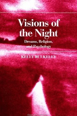 Kelly Bulkeley - Visions of the Night, Häftad