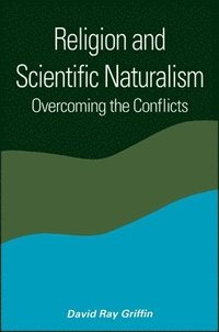 bokomslag Religion and Scientific Naturalism