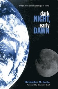 bokomslag Dark Night, Early Dawn
