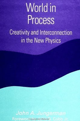 John A. Jungerman - World in Process, Häftad