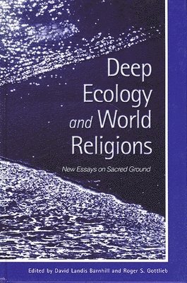 David Landis Barnhill, Roger S. Gottlieb - Deep Ecology and World Religions, Häftad