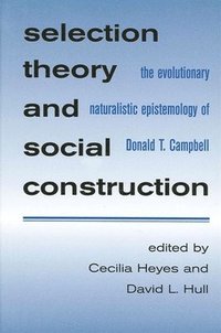 bokomslag Selection Theory and Social Construction