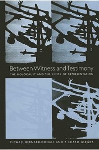 bokomslag Between Witness and Testimony