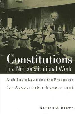 Nathan J. Brown - Constitutions in a Nonconstitutional World, Häftad
