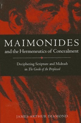 James Arthur Diamond - Maimonides and the Hermeneutics of Concealment, Häftad
