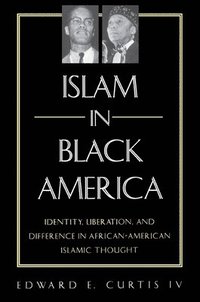 bokomslag Islam in Black America