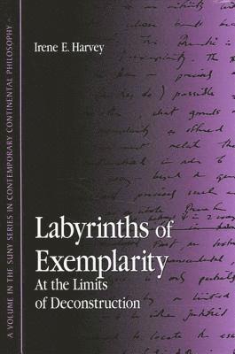 bokomslag Labyrinths of Exemplarity