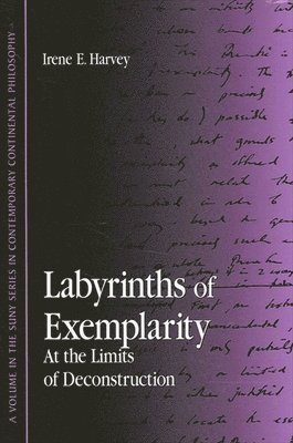 bokomslag Labyrinths of Exemplarity