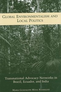 bokomslag Global Environmentalism and Local Politics