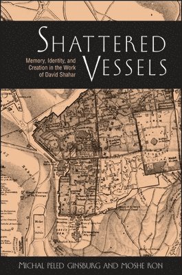 Michal Peled Ginsburg, Moshe Ron - Shattered Vessels, Häftad