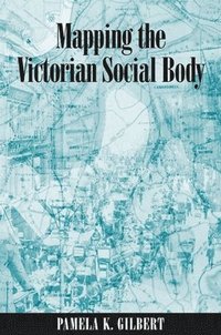 bokomslag Mapping the Victorian Social Body