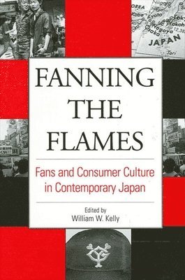 bokomslag Fanning the Flames