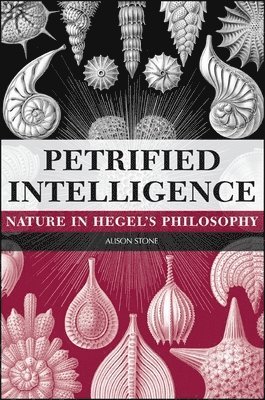 Alison Stone - Petrified Intelligence, Häftad