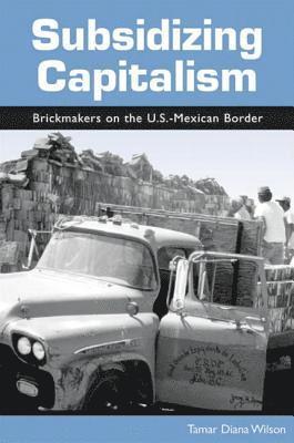 Tamar Diana Wilson - Subsidizing Capitalism, Inbunden