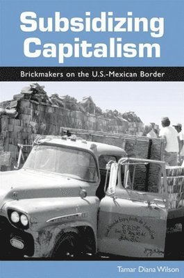 Tamar Diana Wilson - Subsidizing Capitalism, Häftad