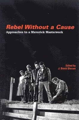 J. David Slocum - Rebel Without a Cause, Häftad